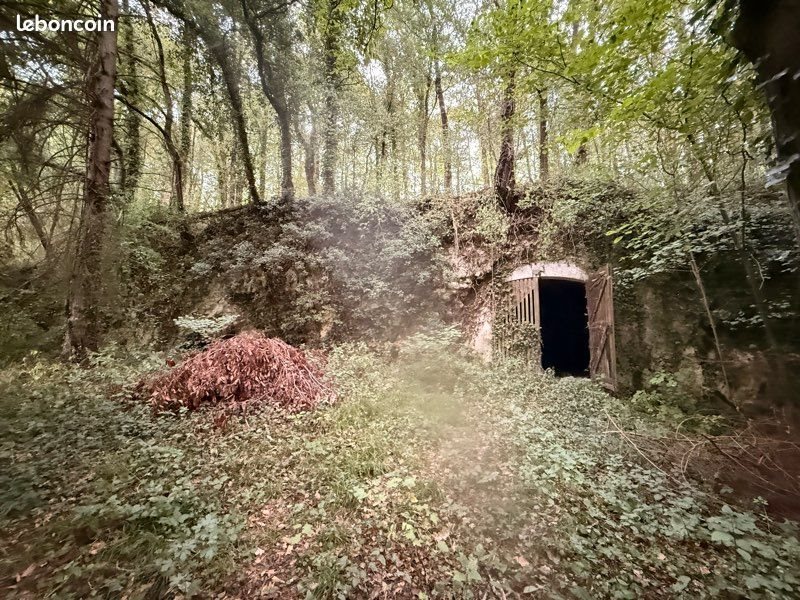 Maison à vendre, 60m², Langeais