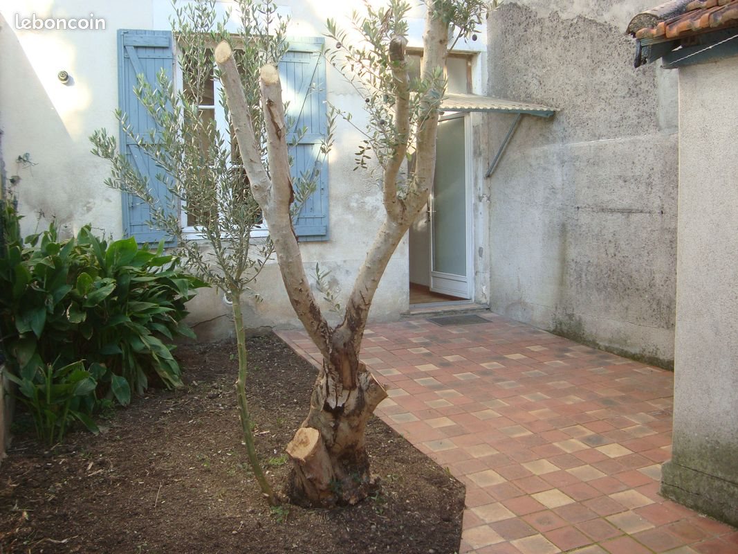 Maison à louer, 100m², Villeneuve-sur-Lot