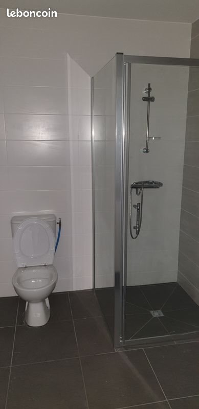 Appartement à louer, 36m², Saint-Etienne