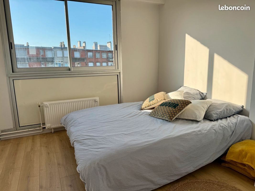 Appartement à vendre, 50m², Lille