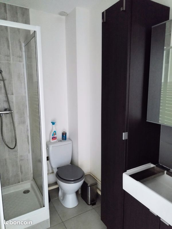 Appartement à louer, 35m², Saint-Etienne