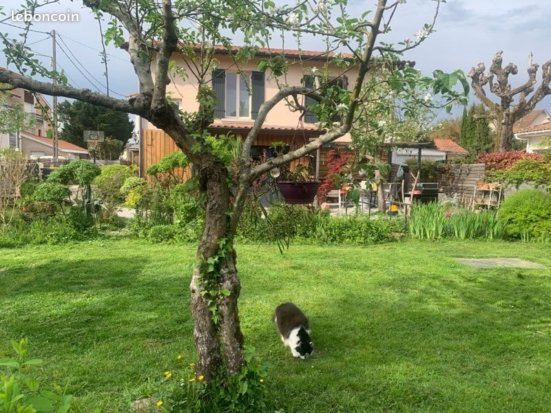 Maison à vendre, 168m², Mont-de-Marsan