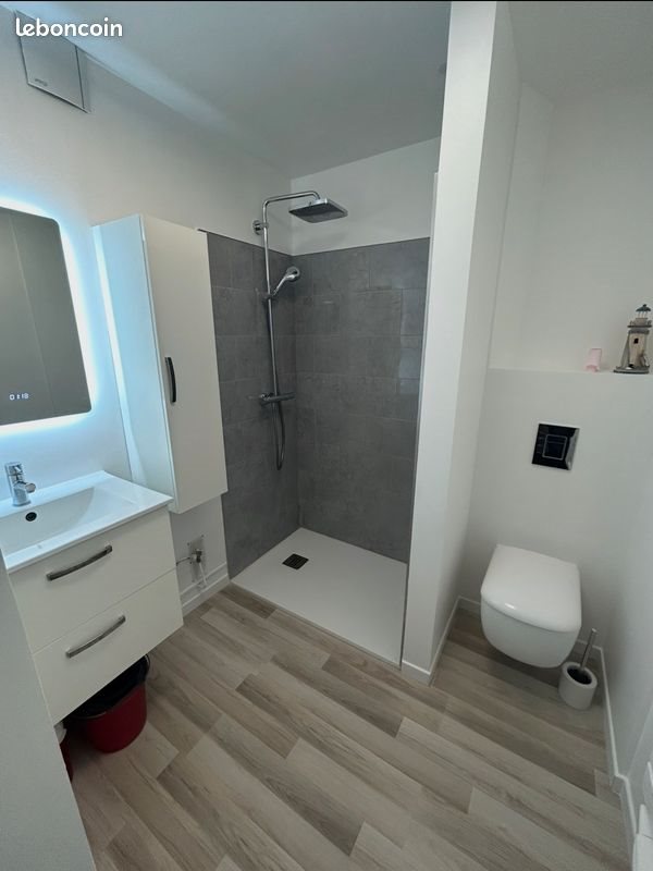 Appartement à louer, 30m², Saint-Cyprien