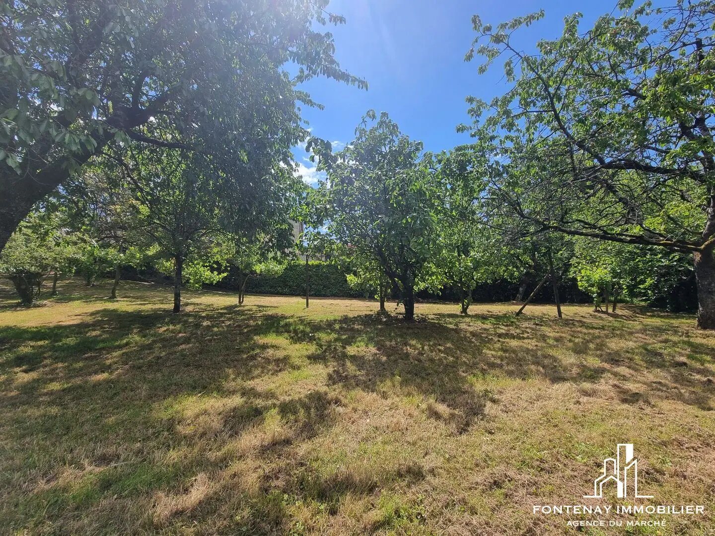 Maison à vendre, 90m², Longèves