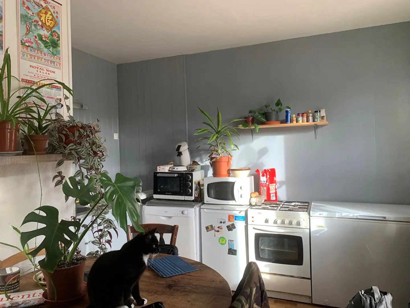 Maison à vendre, 191m², La Roche-Posay
