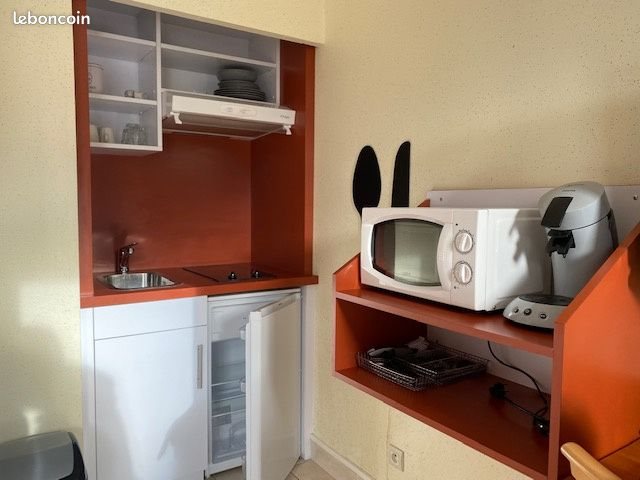 Appartement à vendre, 19m², Sainte-Savine
