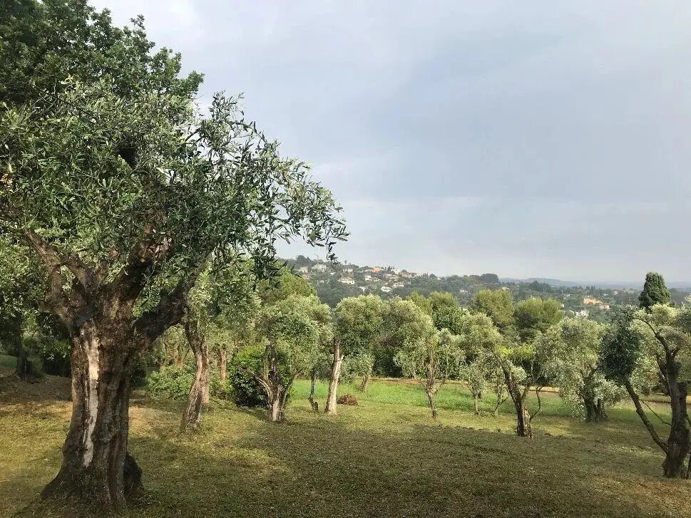 Maison à louer, 250m², Grasse