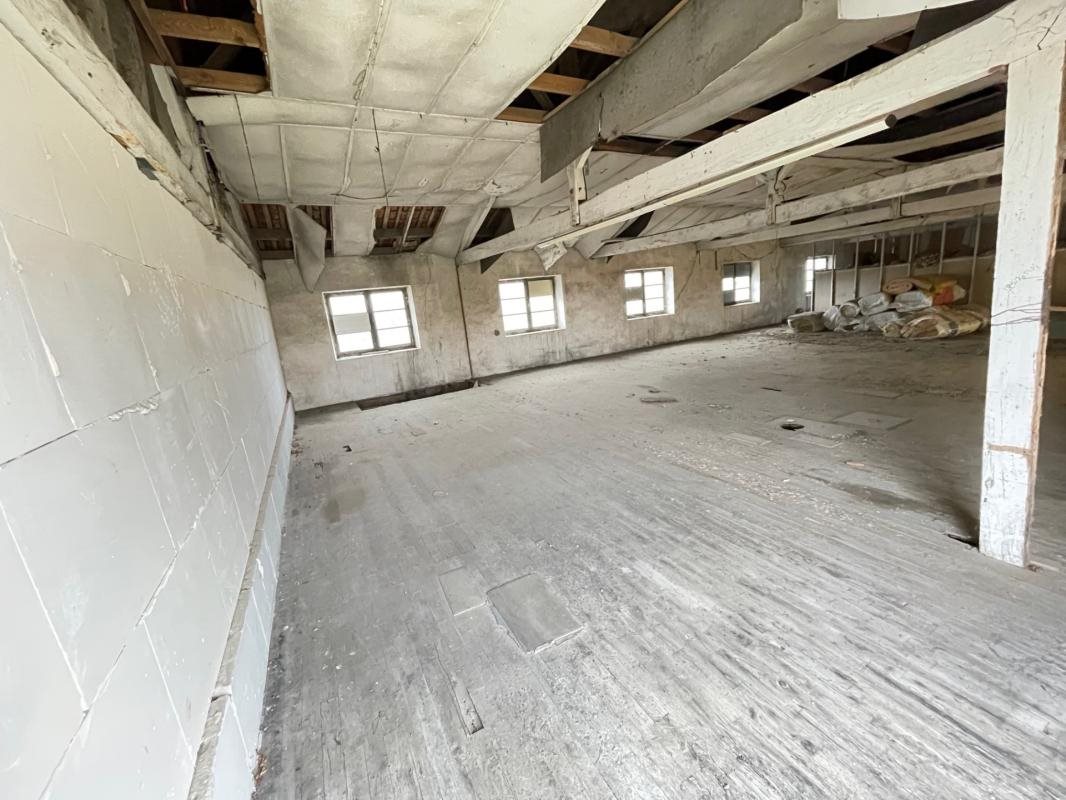 Maison à vendre, 340m², L'Isle-d'Espagnac