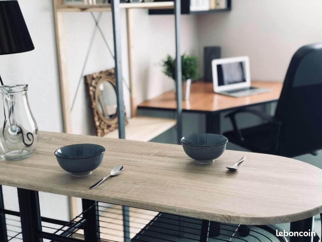 Appartement à louer, 17m², Saint-Étienne