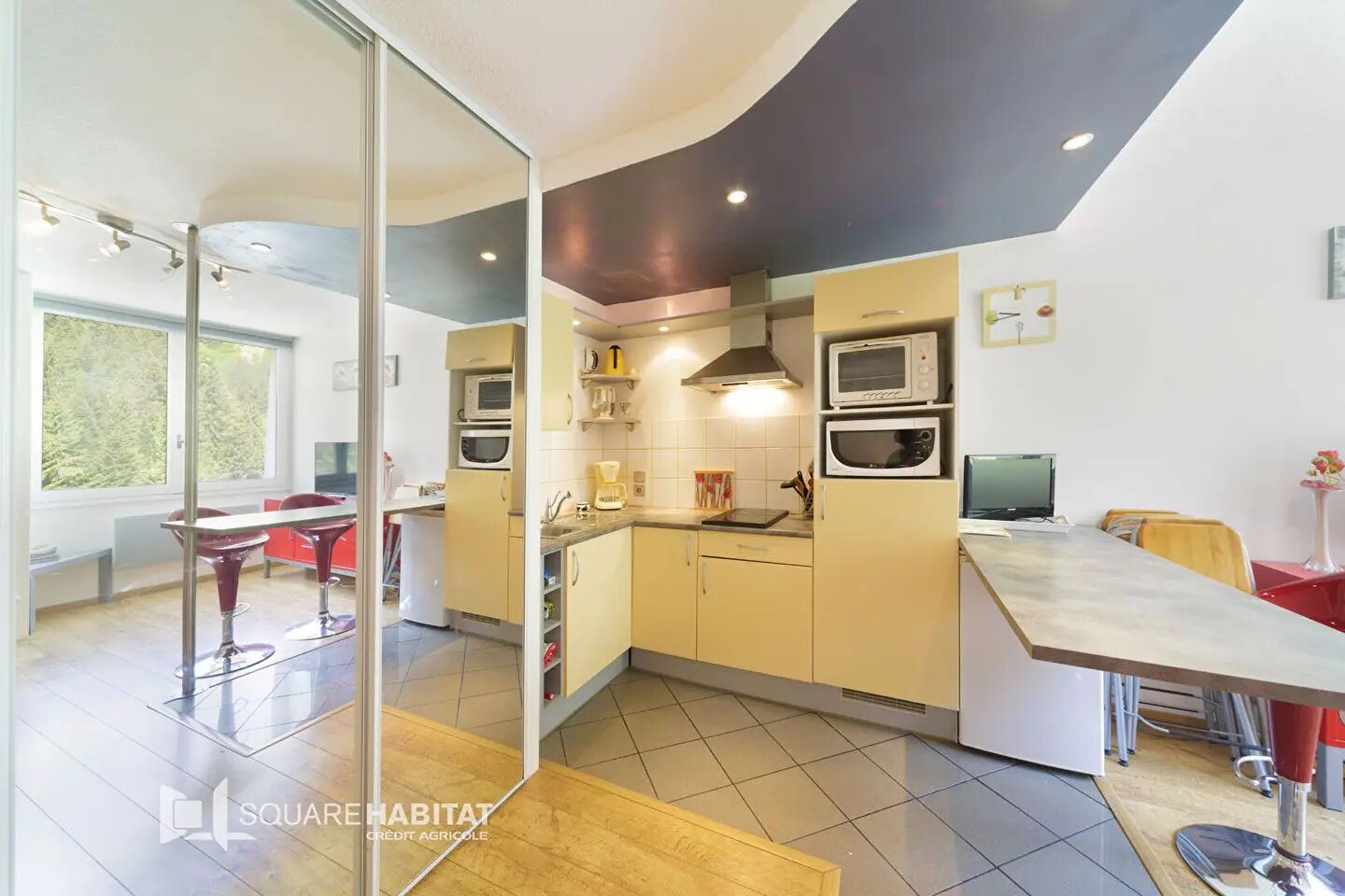 Appartement à vendre, 25m², Eaux-Bonnes