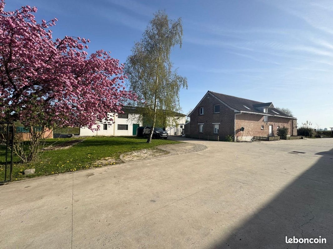 Maison à vendre, 420m², Saint-Sylvestre-Cappel