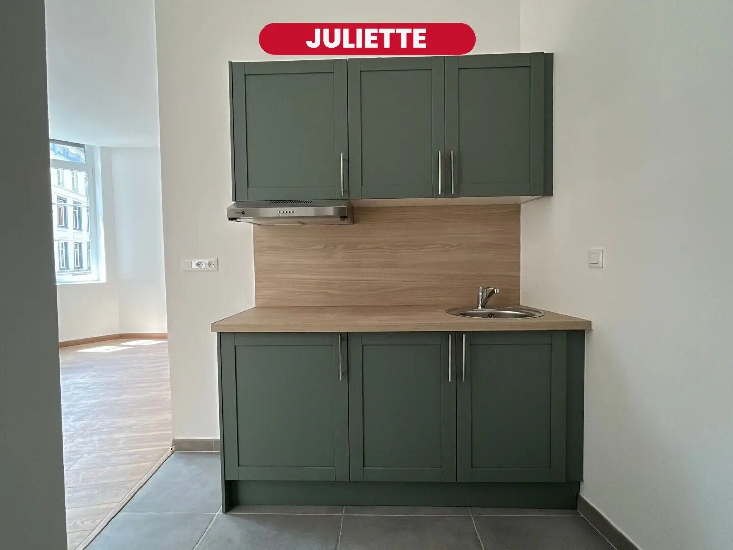 Appartement à vendre, 39m², Lille