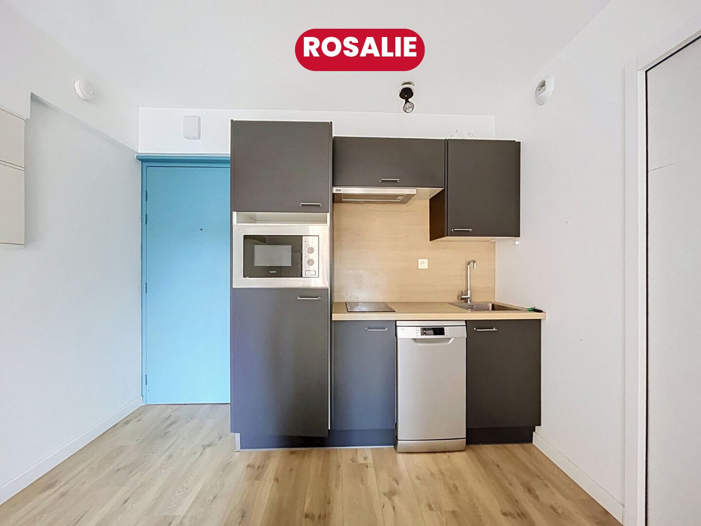 Appartement à vendre, 33m², Lille