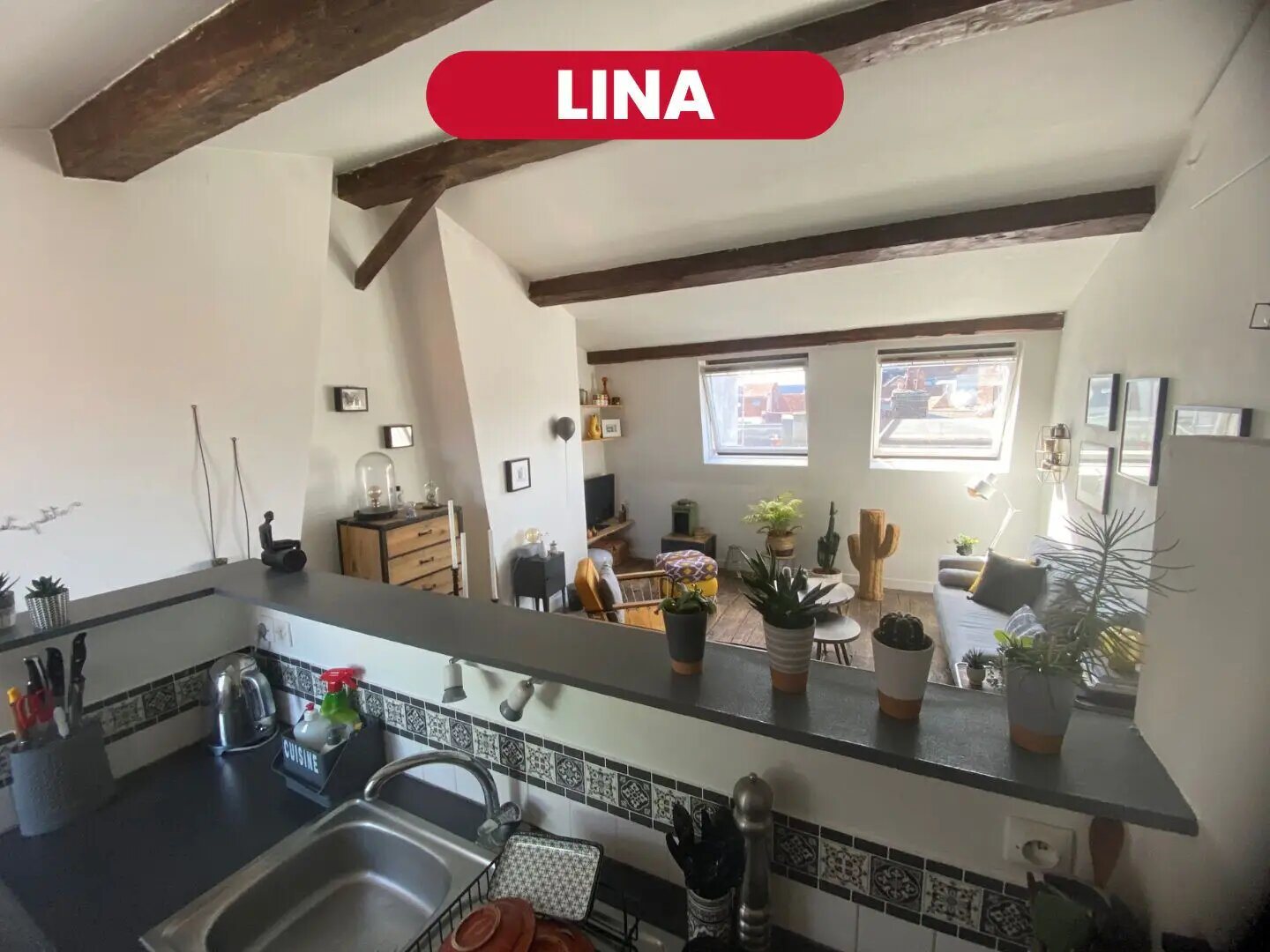 Appartement à vendre, 51m², Lille