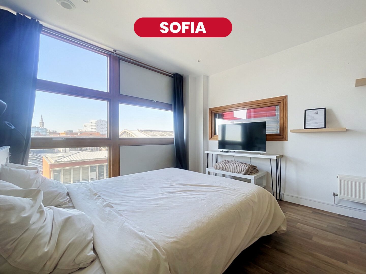Appartement à vendre, 32m², Lille