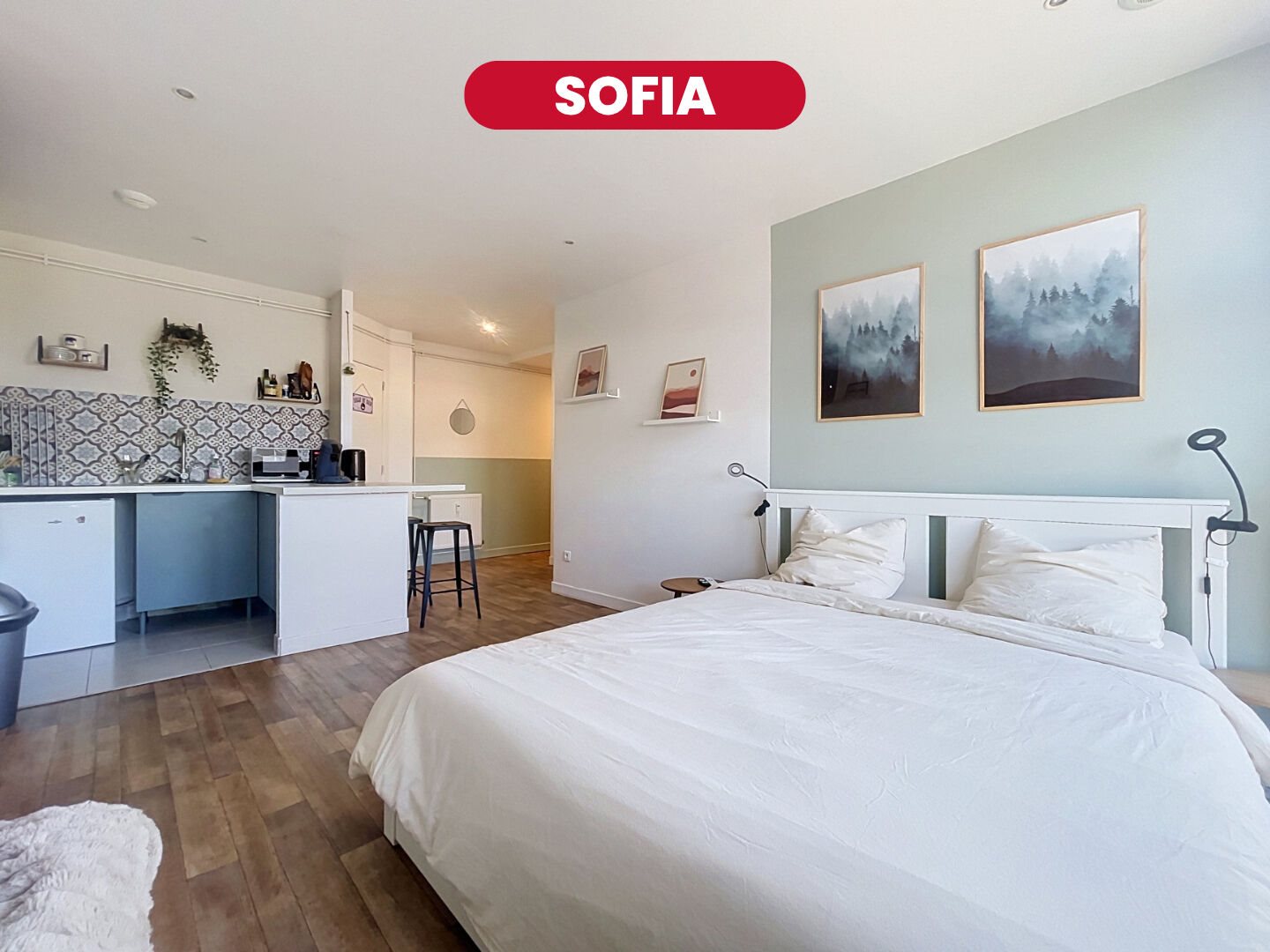 Appartement à vendre, 32m², Lille