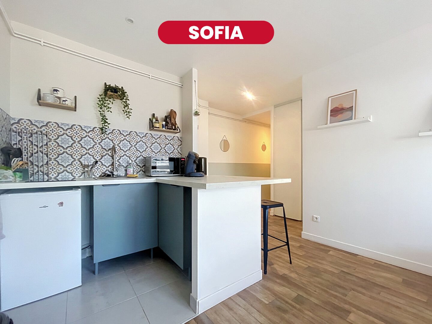Appartement à vendre, 32m², Lille