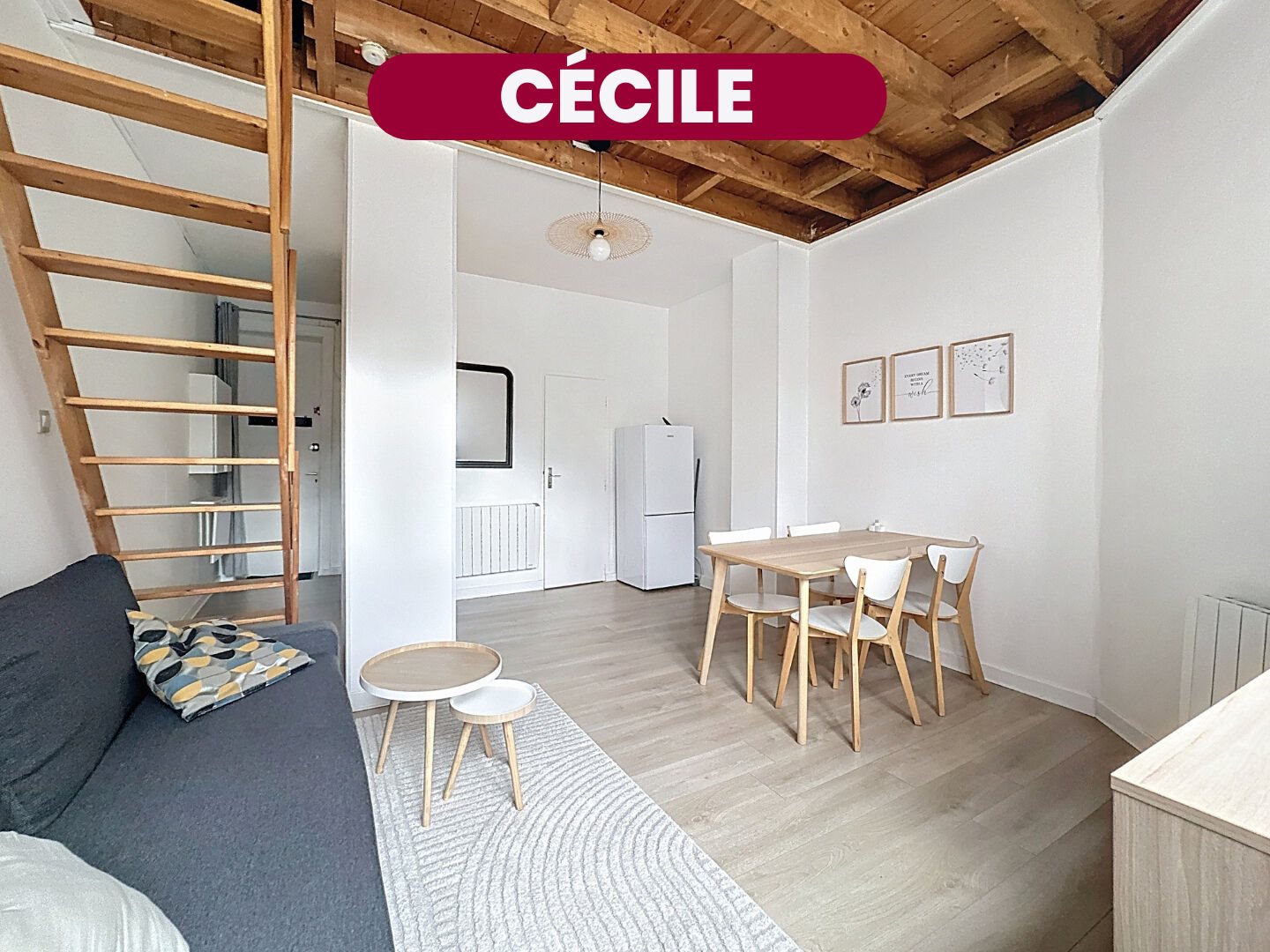 Appartement à vendre, 24m², Lille