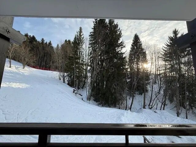 Appartement à vendre, 37m², Crest-Voland (Les Saisies)