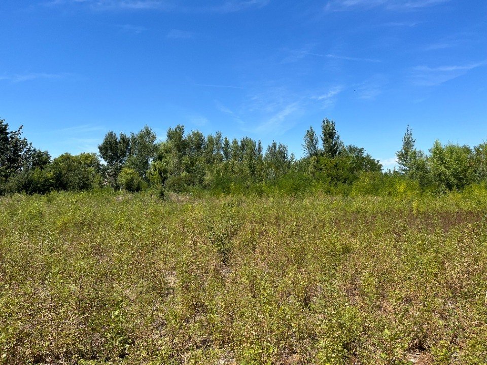 Maison à vendre, 65m², Castelnaudary