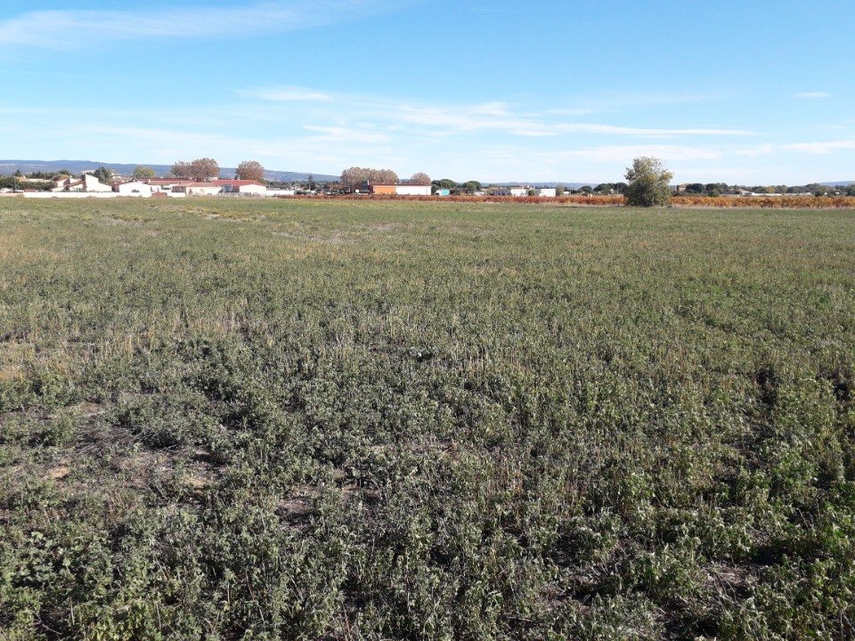 Maison à vendre, 600m², Rieux-Minervois
