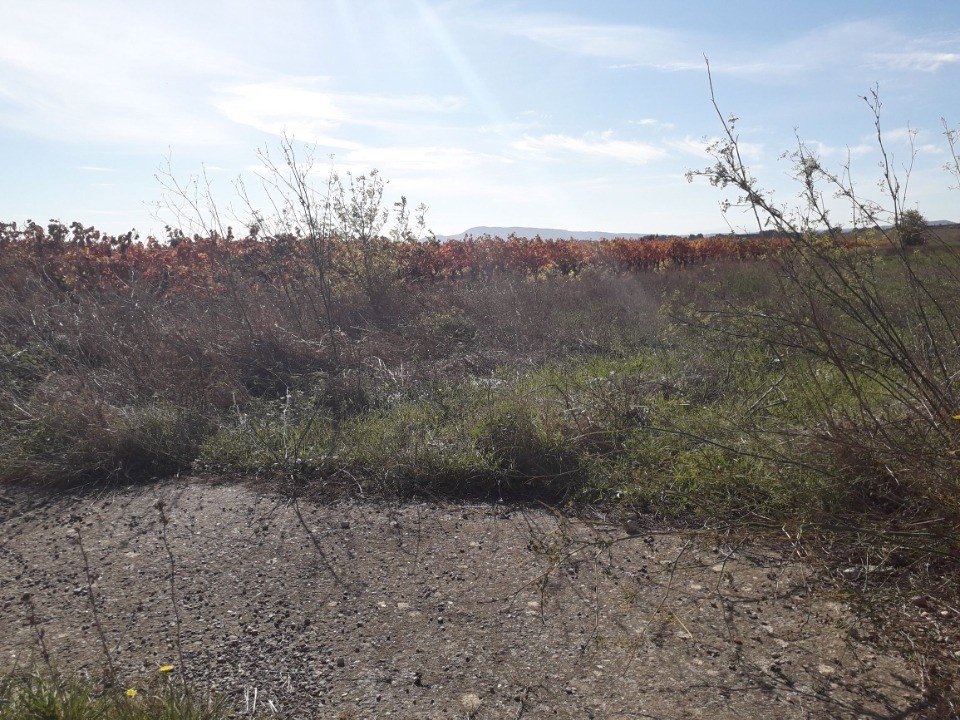 Maison à vendre, 139m², Rieux-Minervois