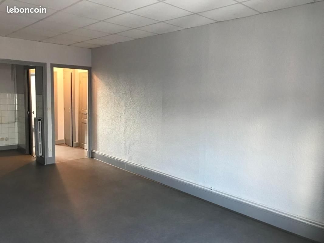 Appartement à louer, 46m², Romans-sur-Isère