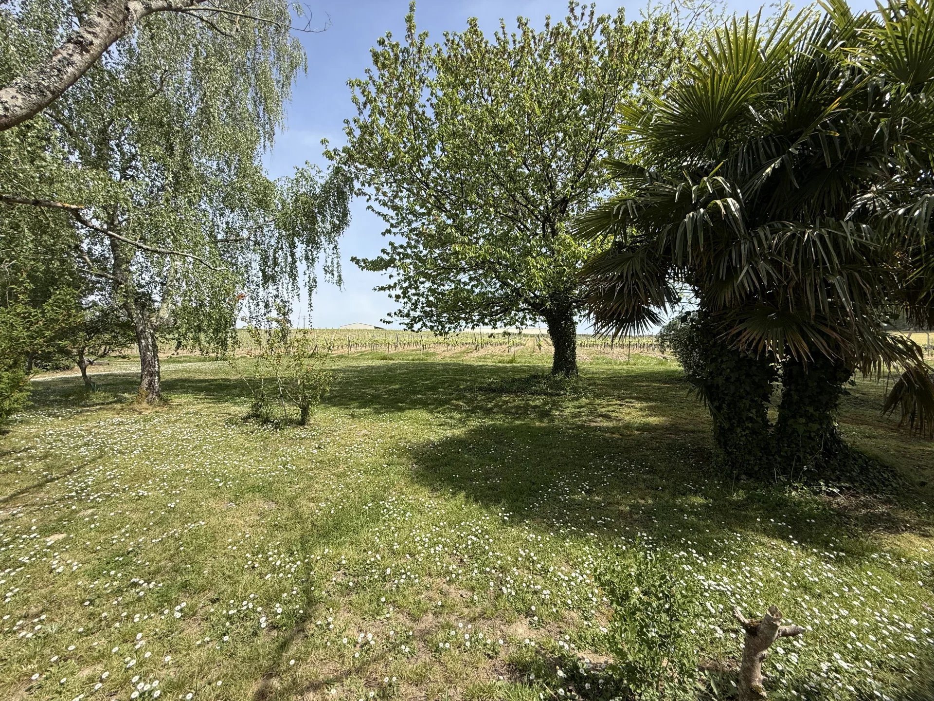 Maison à vendre, 88m², Sainte-Christie-d'Armagnac