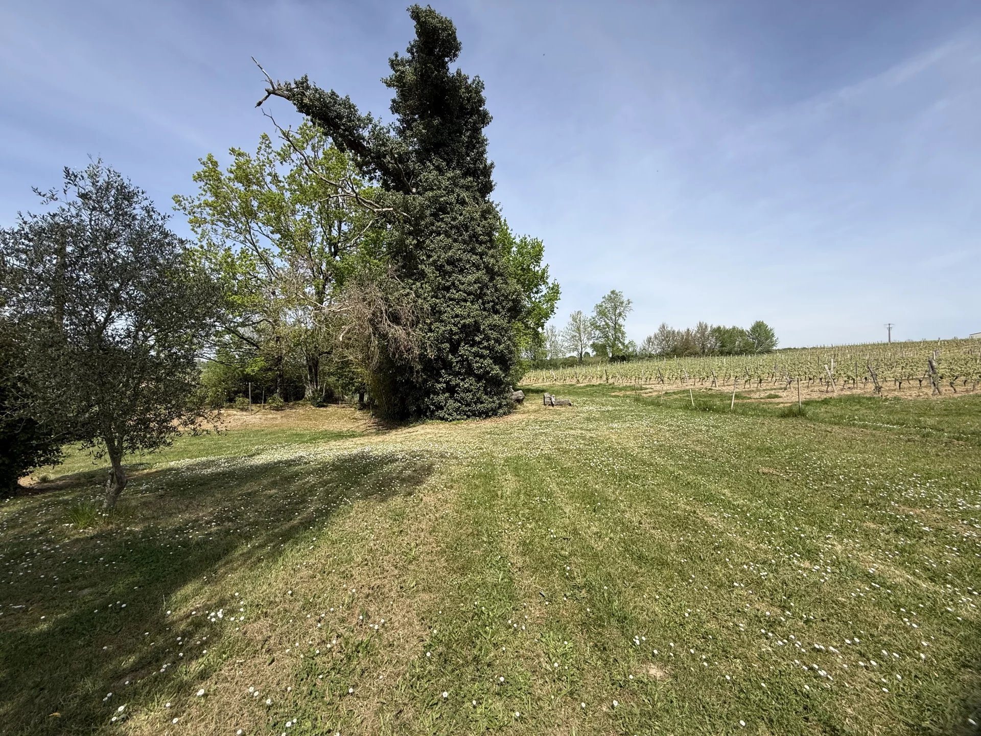 Maison à vendre, 88m², Sainte-Christie-d'Armagnac