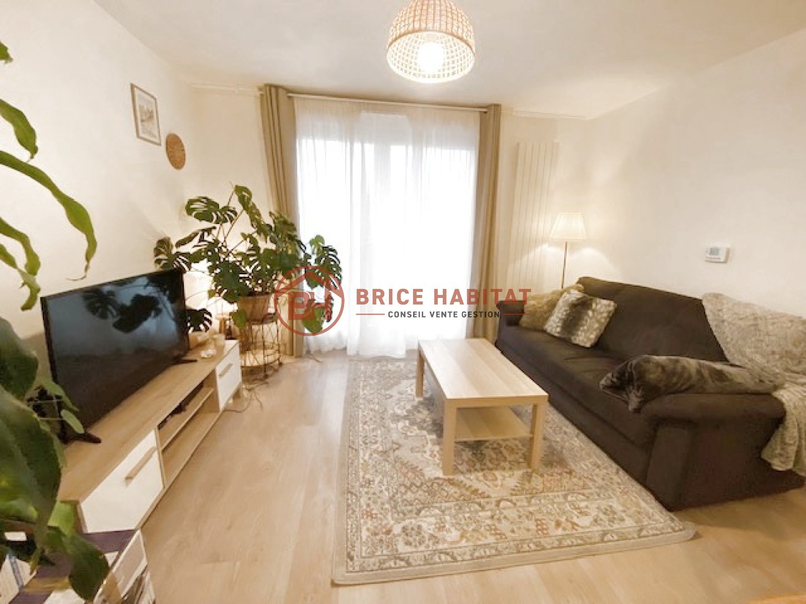 Appartement à louer, 44m², Wasquehal
