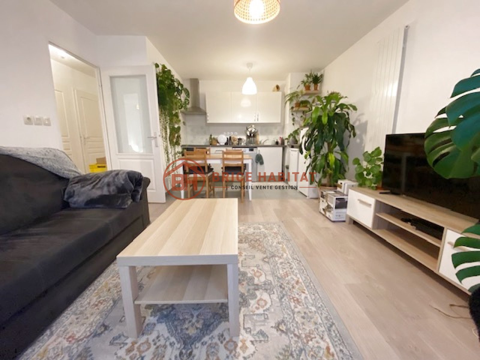 Appartement à louer, 44m², Wasquehal