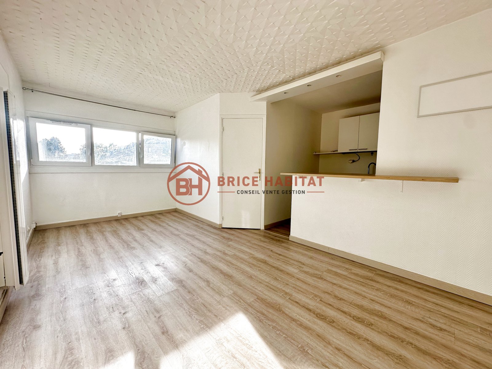 Appartement à vendre, 41m², Villeneuve-d'Ascq