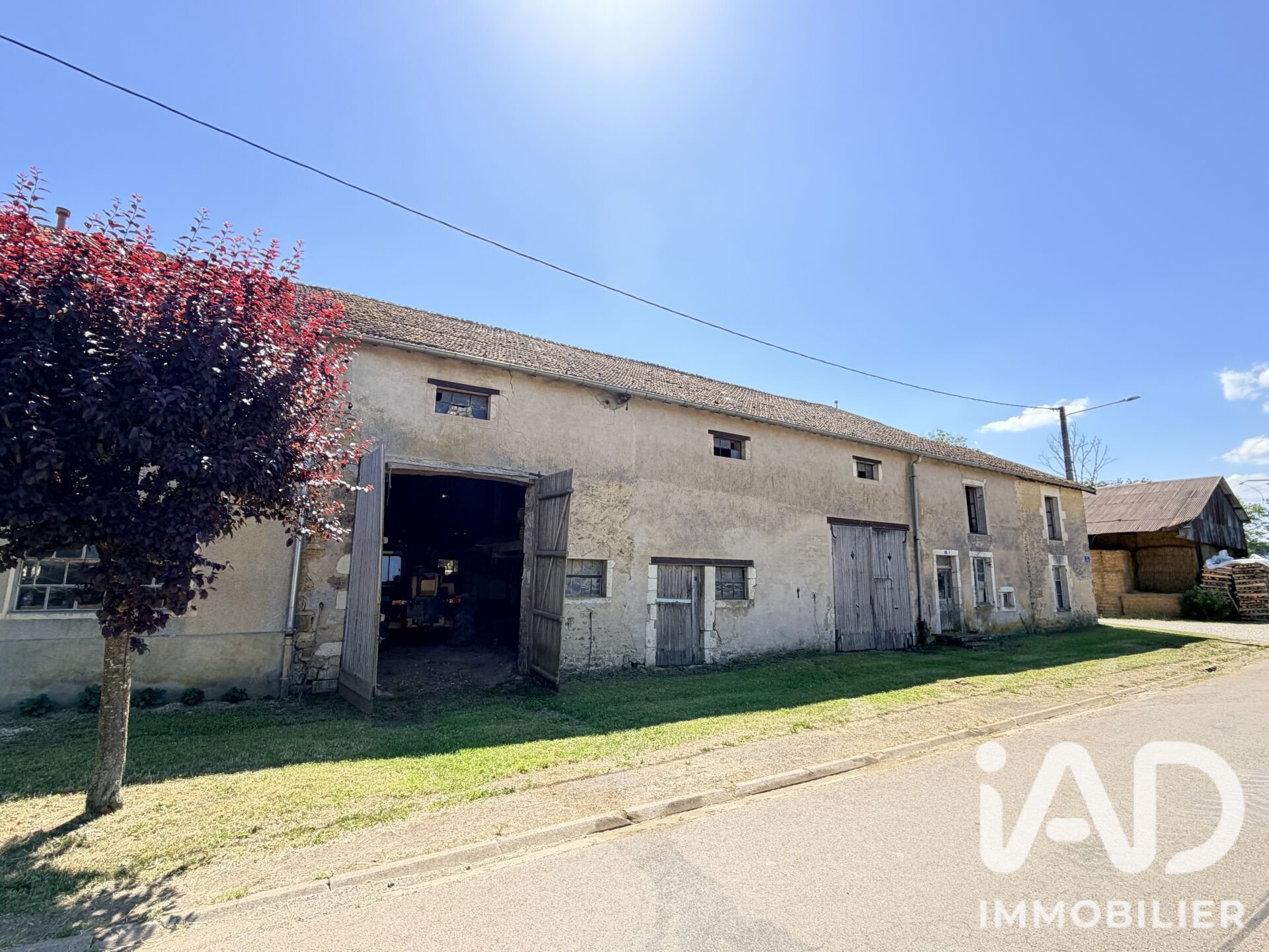 Maison à vendre, 343m², Breuvannes-en-Bassigny