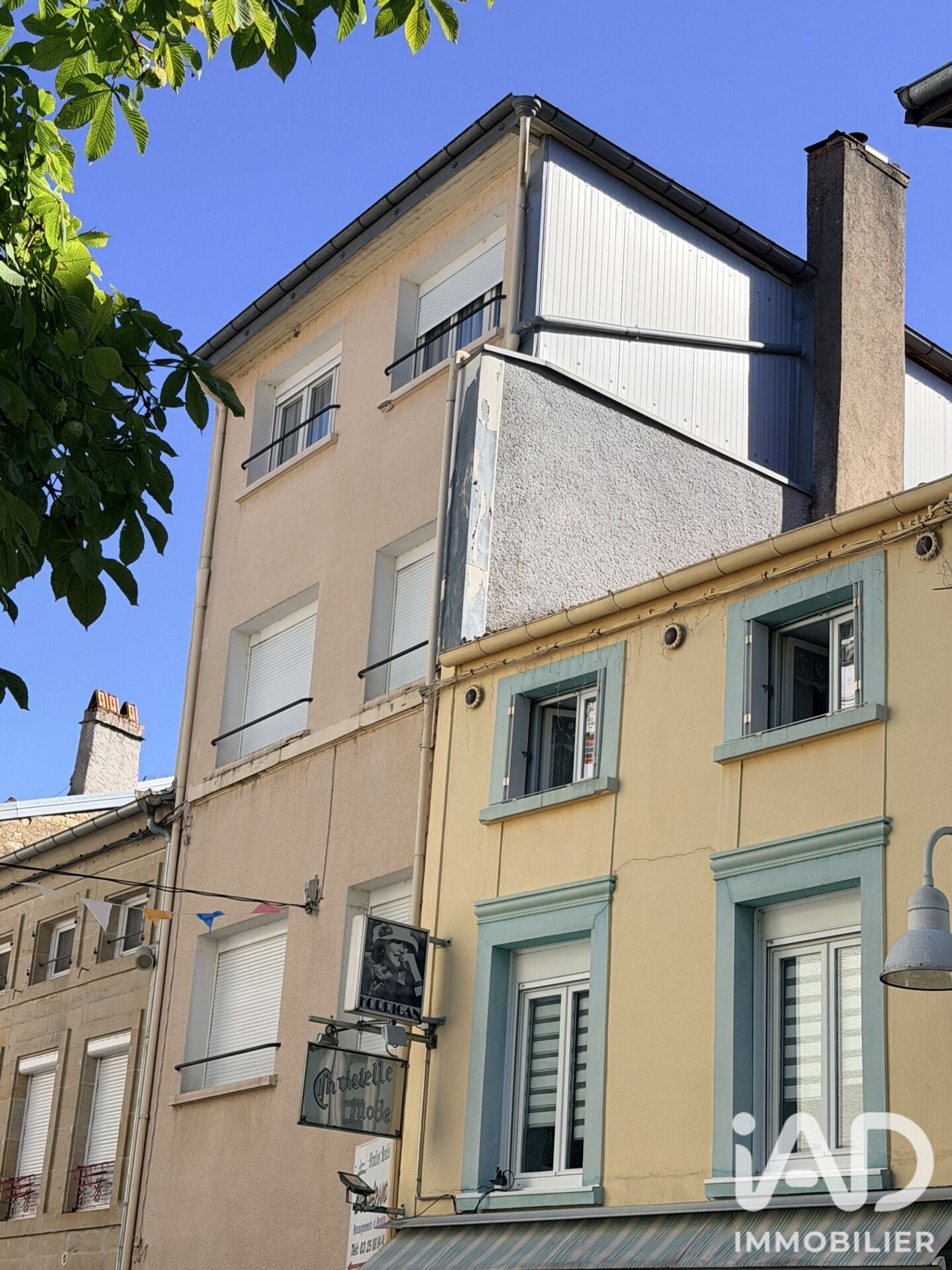 Maison à vendre, 230m², Bourbonne-les-Bains