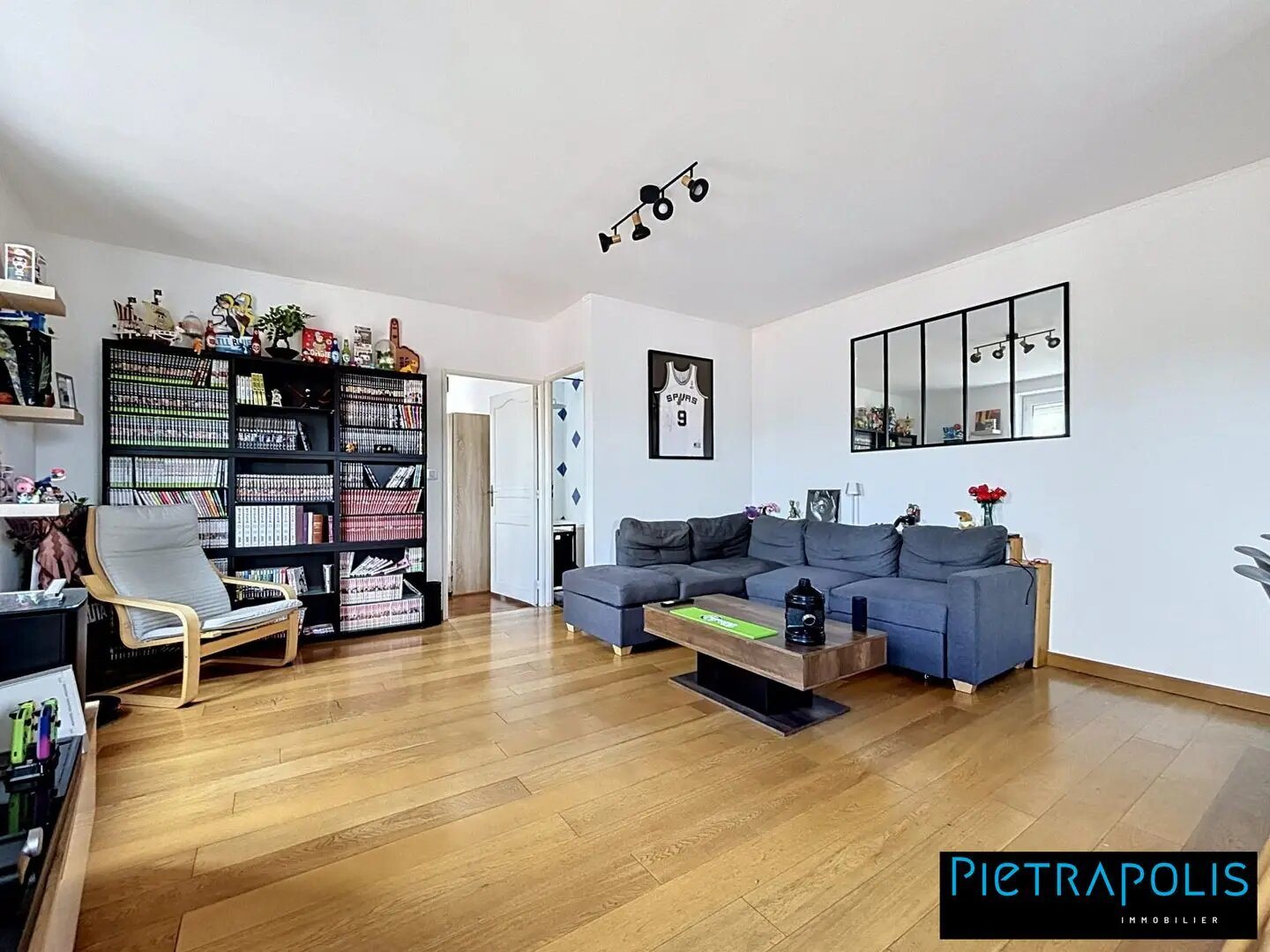 Appartement à vendre, 46m², Neuville-sur-Saône