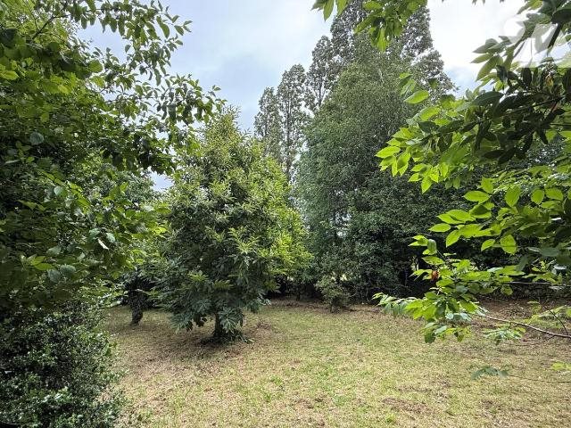 Maison à vendre, 96m², Villedieu-les-Poêles