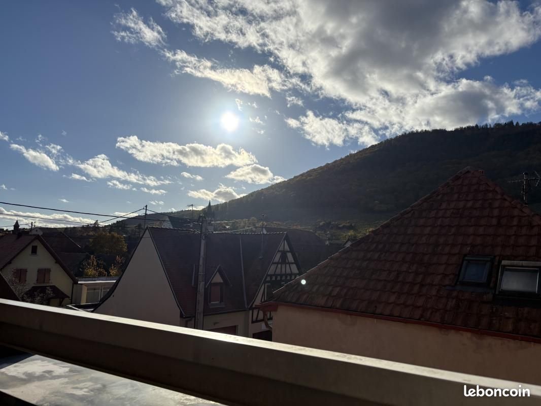 Appartement à louer, 53m², Châtenois