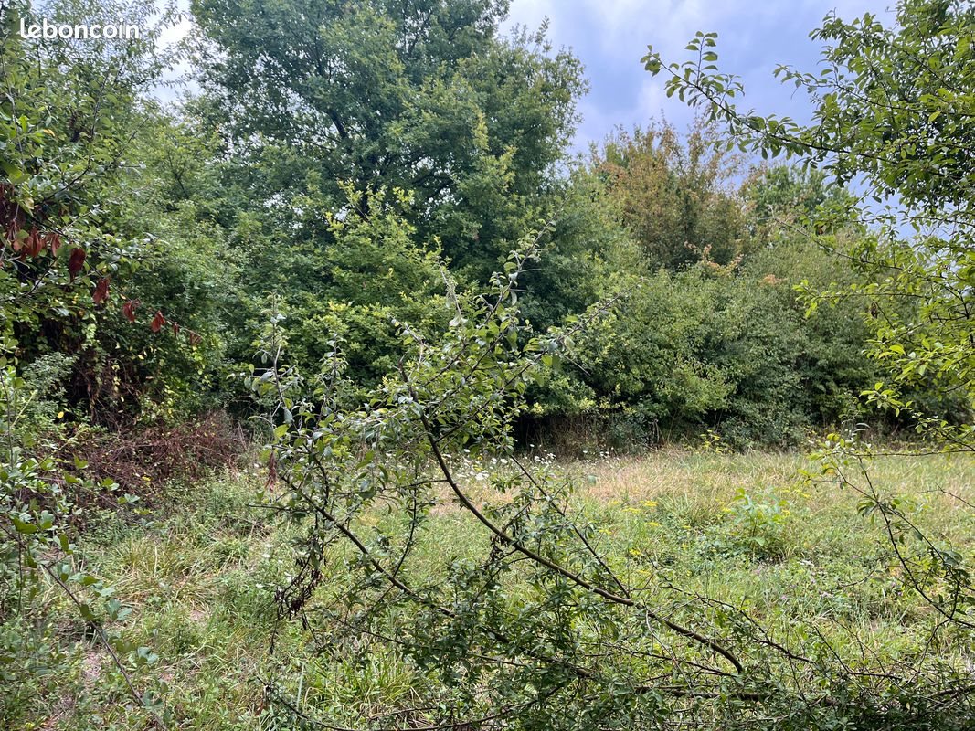 Maison à vendre, 71m², Vicq-sur-Nahon