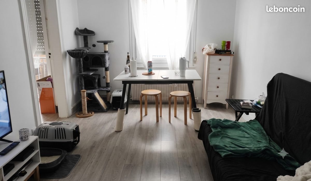 Appartement à louer, 50m², Strasbourg