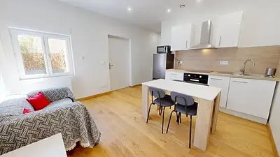 Appartement à louer, 32m², Villeurbanne