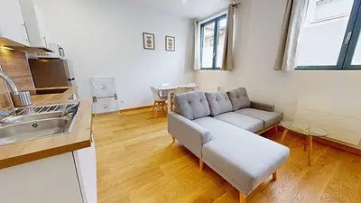 Appartement à louer, 39m², Villeurbanne