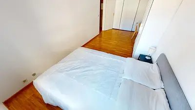 Appartement à louer, 48m², Lille