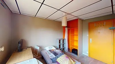 Appartement à louer, 15m², Colmar