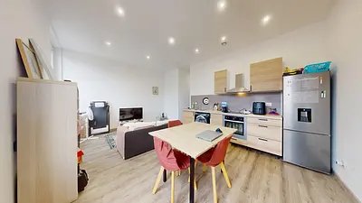 Appartement à louer, 37m², Villeurbanne