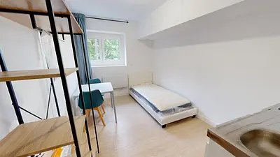 Appartement à louer, 15m², Roubaix