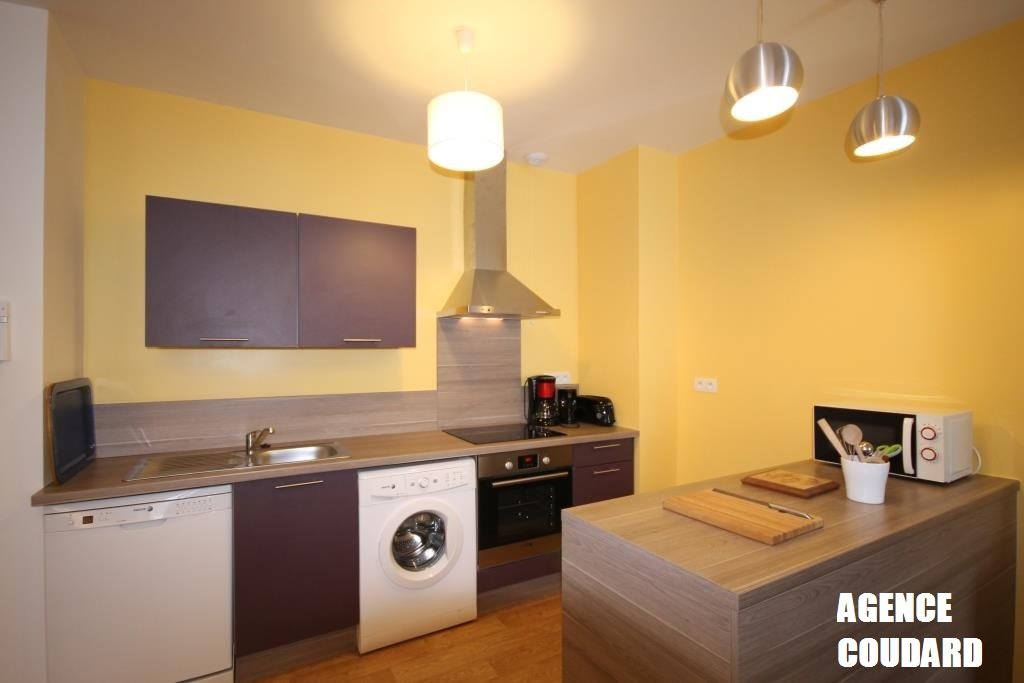 Appartement à louer, 55m², Mont-Dore