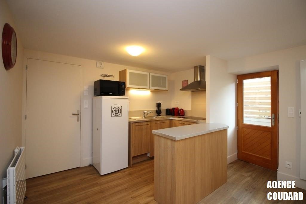 Appartement à louer, 48m², Mont-Dore