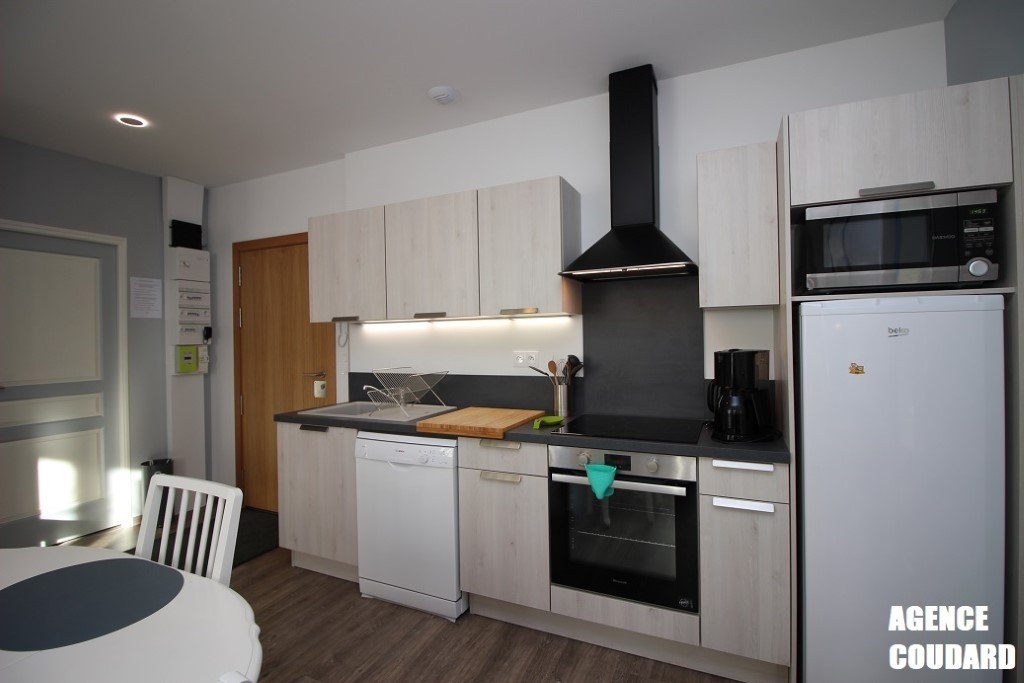 Appartement à louer, 48m², Mont-Dore