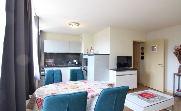 Appartement à louer, 49m², La Bourboule