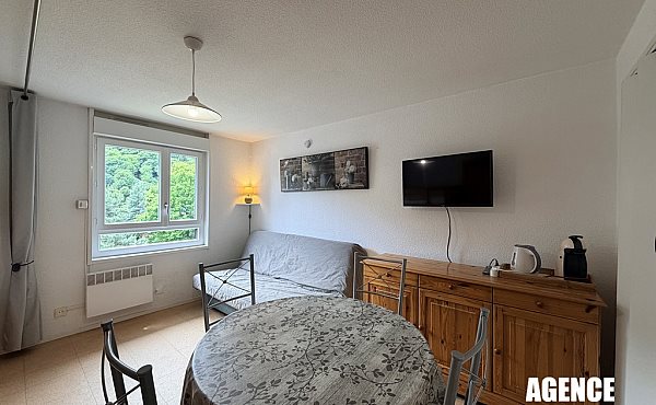 Appartement à vendre, 20m², Mont-Dore